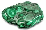 Flowery Polished Malachite Specimen - Congo #255241-1